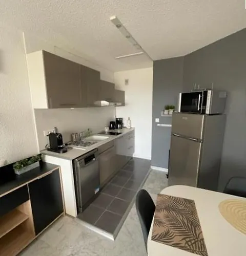 Proche Port T2 Pour 4 Personnes N1 39 La Grande Motte